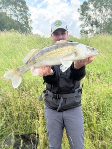 Zander