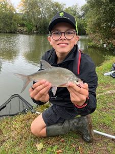 Blue Bream