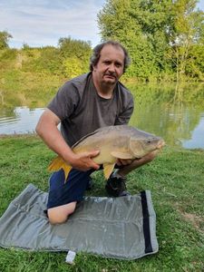 Mirror Carp