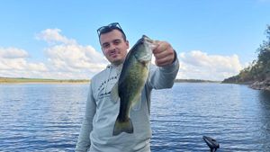 Largemouth Bass