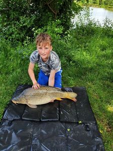 Common Carp