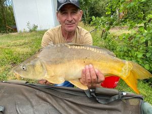 Mirror Carp