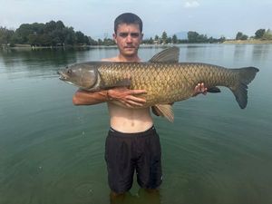Grass Carp