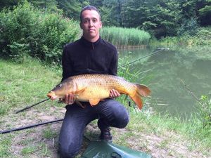 Common Carp