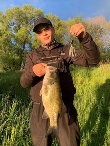 Smallmouth Bass