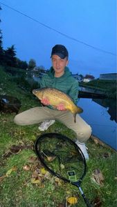 Common Carp