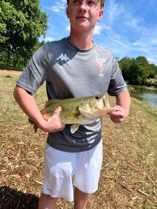 Largemouth Bass