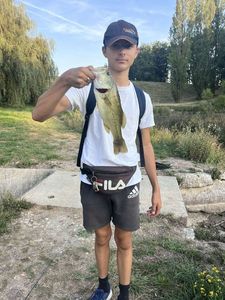 Smallmouth Bass