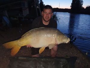 Mirror Carp