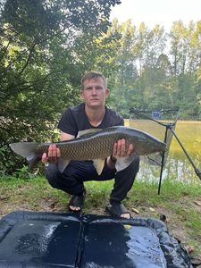 Grass Carp