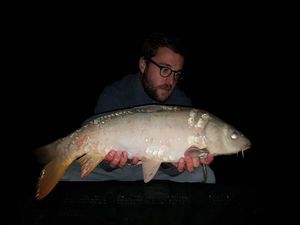 Mirror Carp