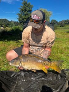 Mirror Carp