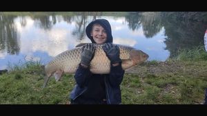 Grass Carp