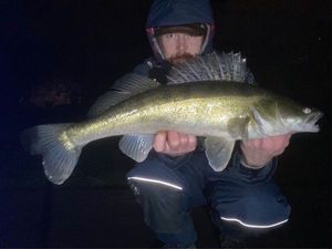Zander