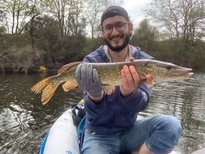 Northern Pike