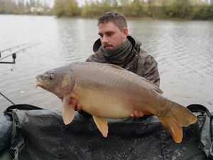 Mirror Carp