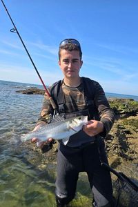 European Bass (Seabass)