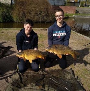 Common Carp