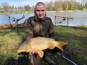 Common Carp