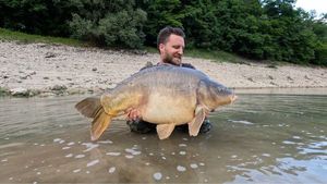 Mirror Carp