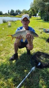 Common Carp