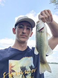 Largemouth Bass