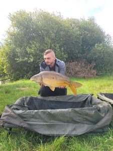 Mirror Carp