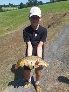 Mirror Carp
