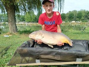 Mirror Carp