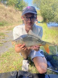 Mirror Carp