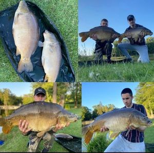 Leather Carp