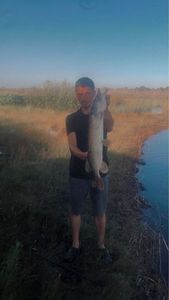 Northern Pike