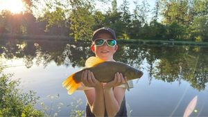 Tench