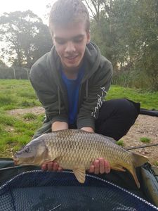 Common Carp