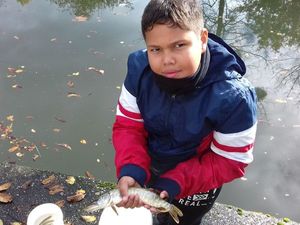 Northern Pike