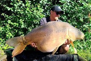 Mirror Carp