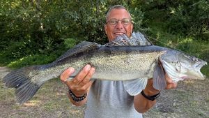 Zander