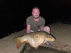 Common Carp