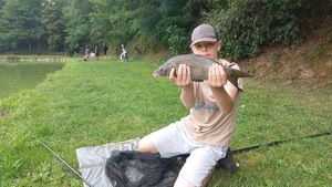 Common Carp
