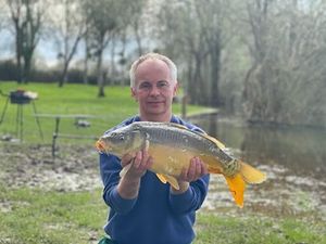 Mirror Carp