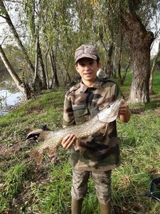 Northern Pike