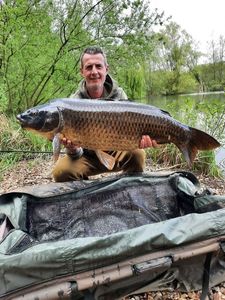 Common Carp