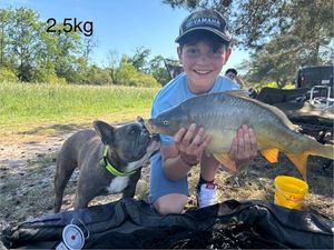 Mirror Carp