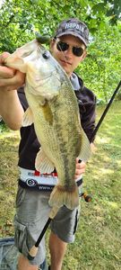 Largemouth Bass