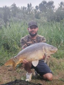 Mirror Carp