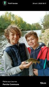European Perch