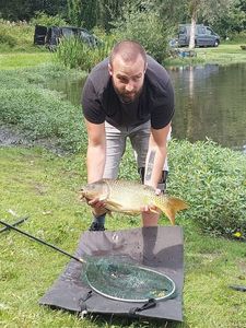 Common Carp
