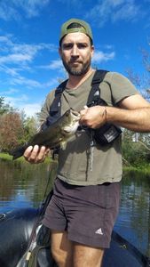 Largemouth Bass