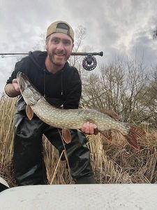 Northern Pike
