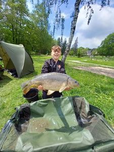 Mirror Carp